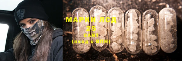 ешки Елабуга