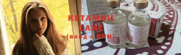 дмт Ельня