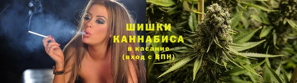 дмт Ельня
