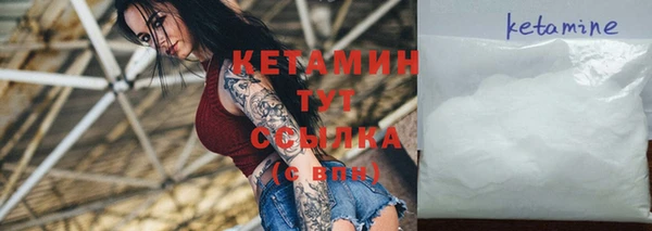 дмт Ельня