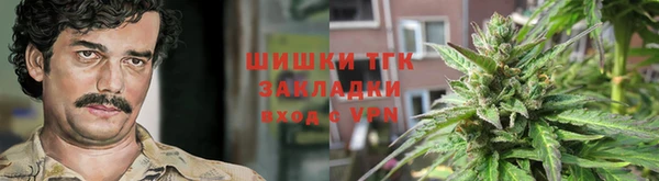 кокс Елизово