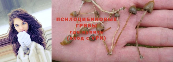 кокс Елизово
