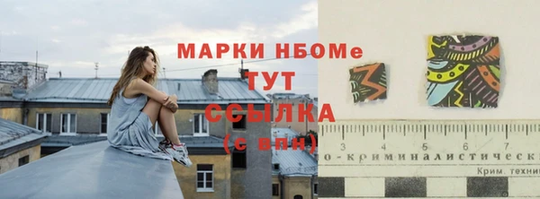 ешки Елабуга