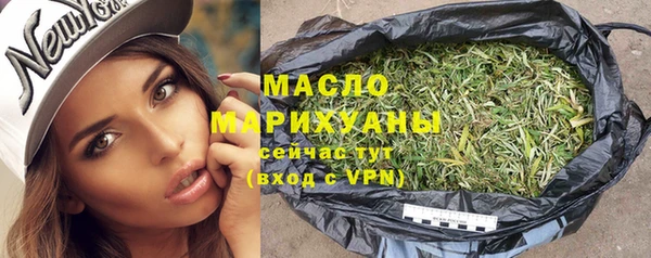 дмт Ельня