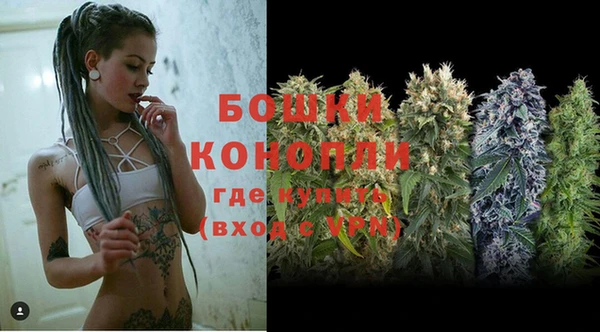 дмт Ельня