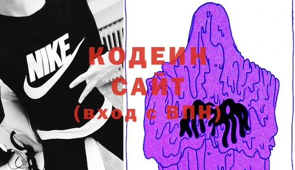дмт Ельня