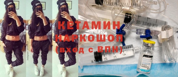 дмт Ельня