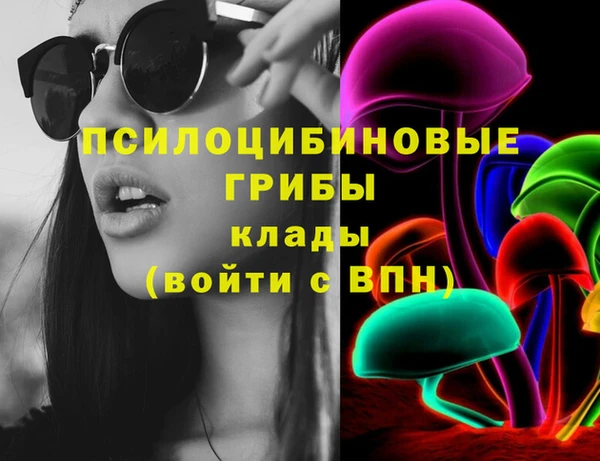 кокс Елизово