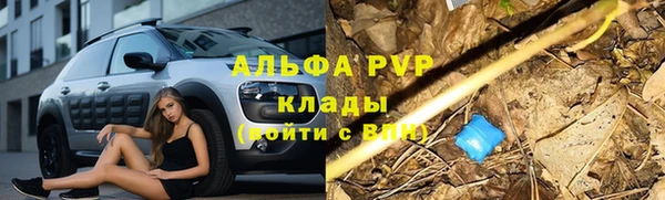 дмт Ельня