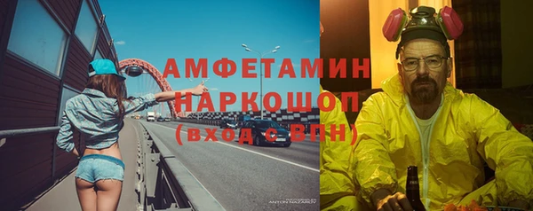 дмт Ельня