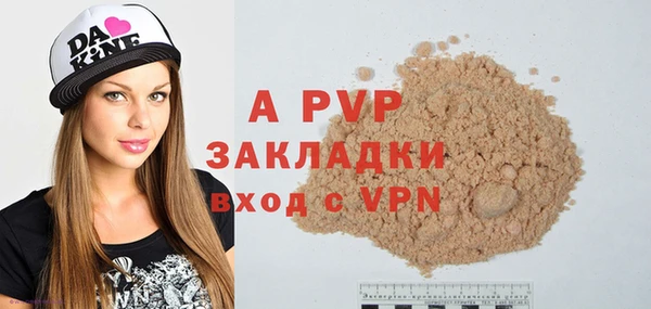 кокс Елизово